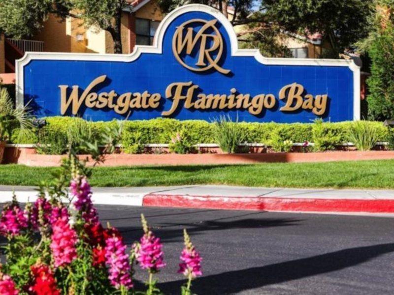 Westgate Flamingo Bay Resort Las Vegas Exteriér fotografie